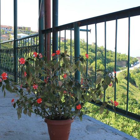 Guest House Shota Siğnaği Dış mekan fotoğraf