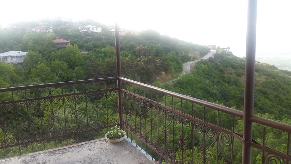 Guest House Shota Siğnaği Dış mekan fotoğraf