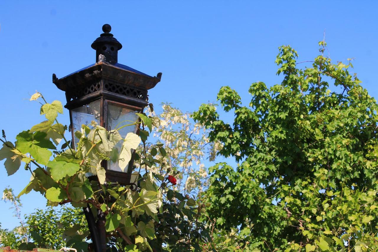 Guest House Shota Siğnaği Dış mekan fotoğraf