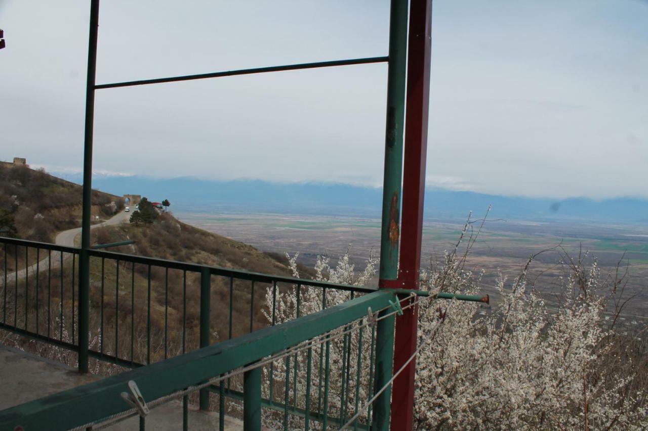 Guest House Shota Siğnaği Dış mekan fotoğraf